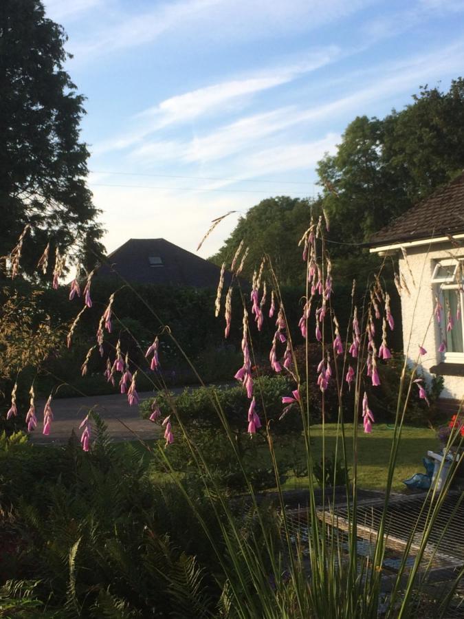 Llyswen Large Bedroom In Top Part Of Bungalow With Garden View And Balcony Sleeps Three Aberystwyth Exterior foto