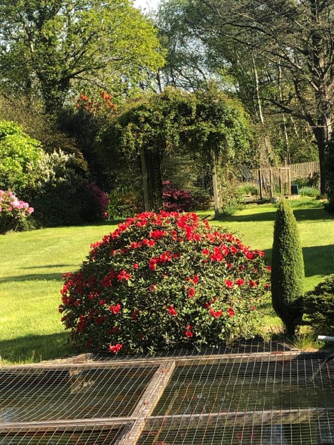 Llyswen Large Bedroom In Top Part Of Bungalow With Garden View And Balcony Sleeps Three Aberystwyth Exterior foto